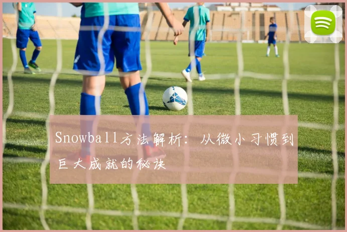Snowball方法解析：从微小习惯到巨大成就的秘诀